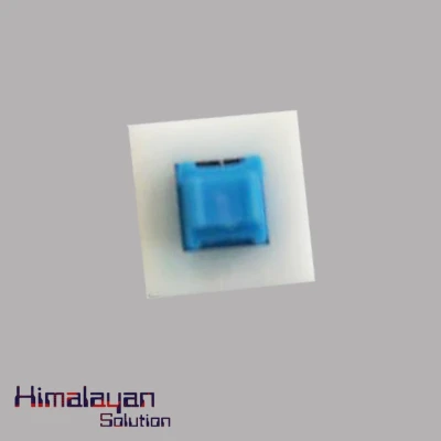 Push To Button Switch