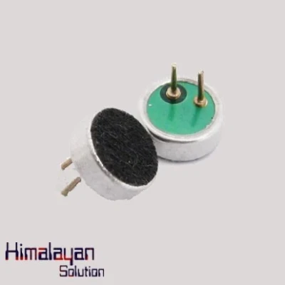 Small Microphone