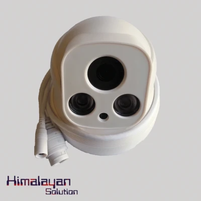 LS-RB100A+POE LOOSAFE Camera