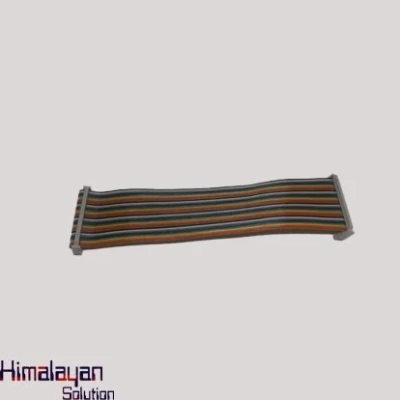 40pin Female To Female Pi Cable