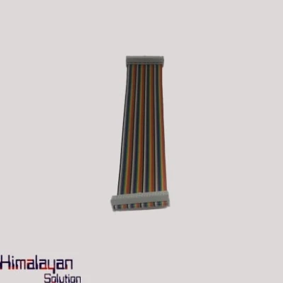 40pin Female To Female Pi Cable