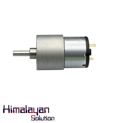 Gear Motor