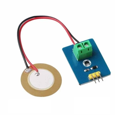 Pizeo Module