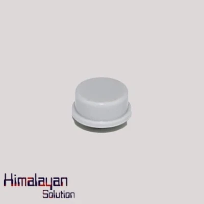 Reset Switch Cap big
