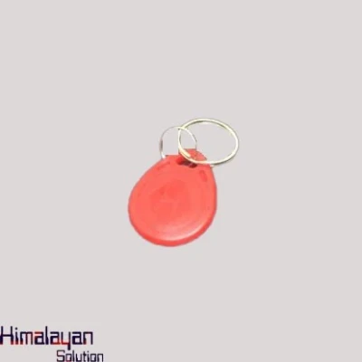 Rfid Keyring