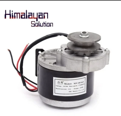 24V 250W DC Geared Motor With Driver For Ebike