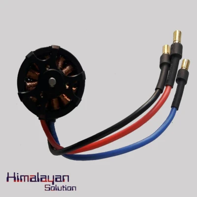 Sunny Sky 980KV Brushless Motor