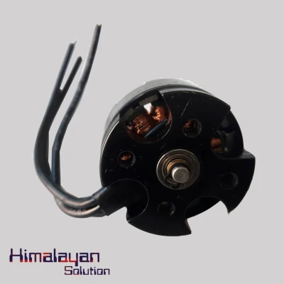 Tiankongrc 2300KV Brushless Motor