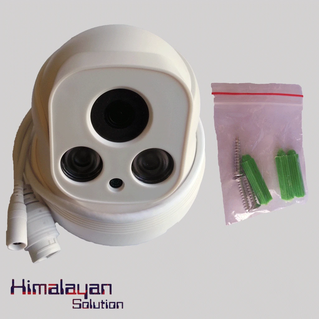 LS-RB100A+POE LOOSAFE Camera