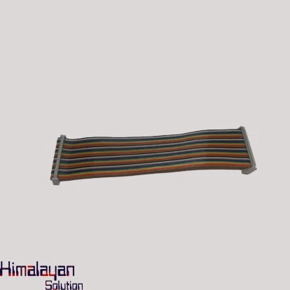 40pin Female To Female Pi Cable